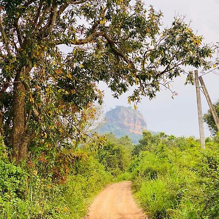 Hotel Sigiriya Kele Eksteriør bilde