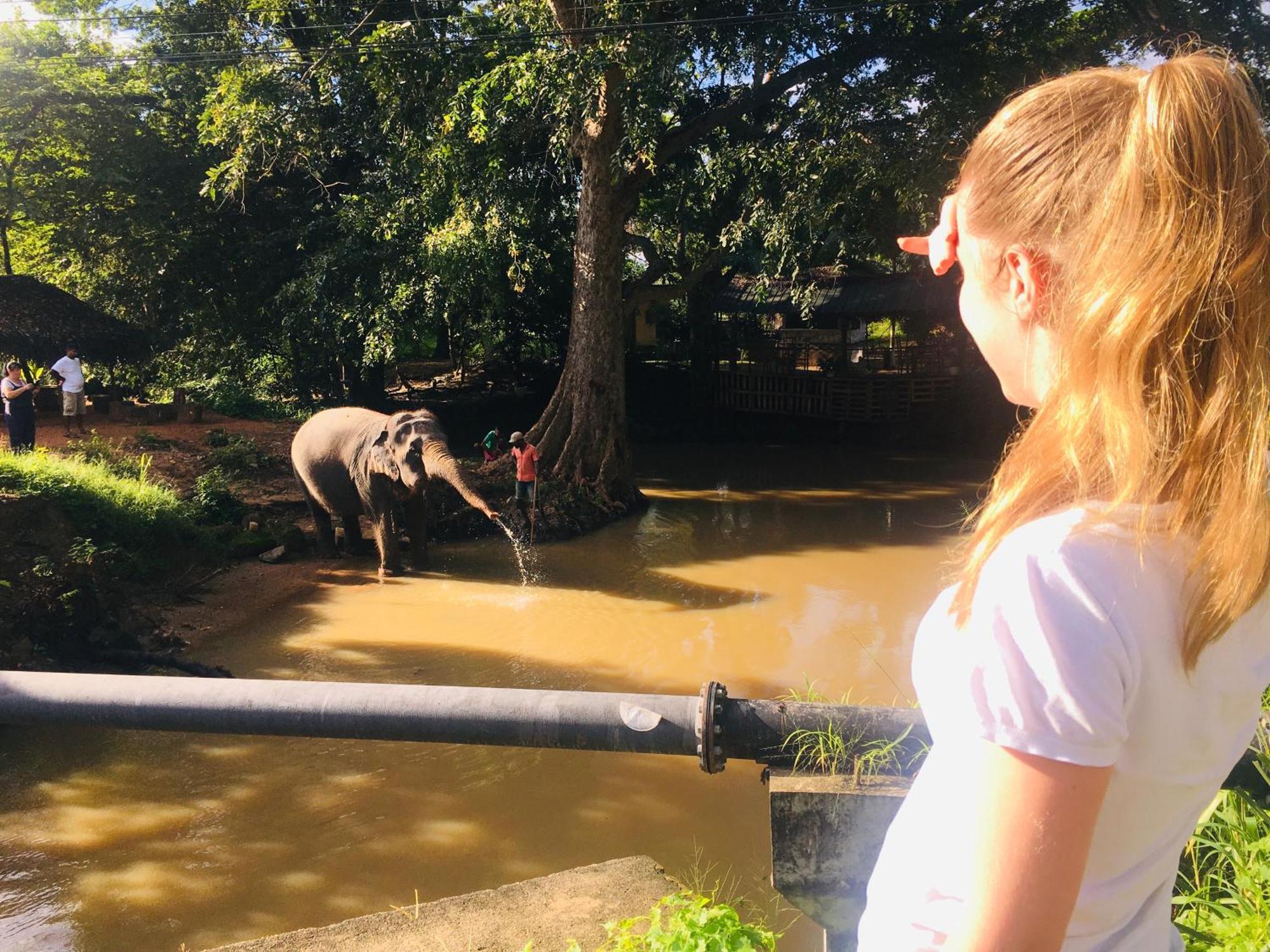 Hotel Sigiriya Kele Eksteriør bilde